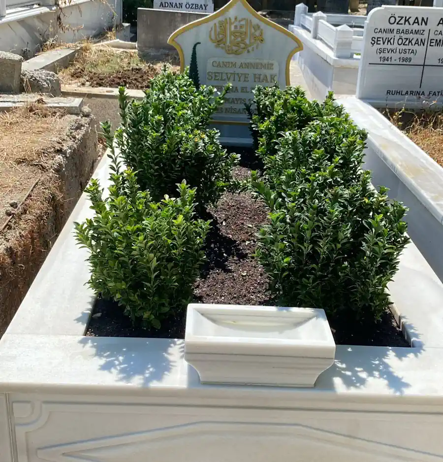 Üsküdar Karacaahmet Mezar Bakım ve Çiçeklendirme