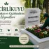 Mezar Bakım Fiyatları